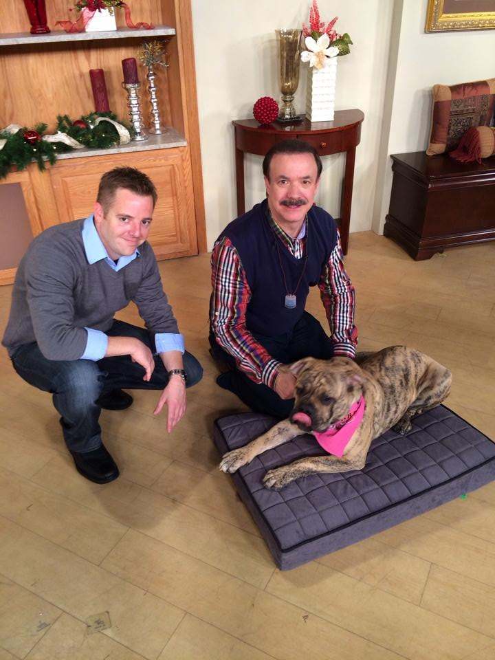 Trevor Crotts on set with a BuddyRest bed on live shopping TV