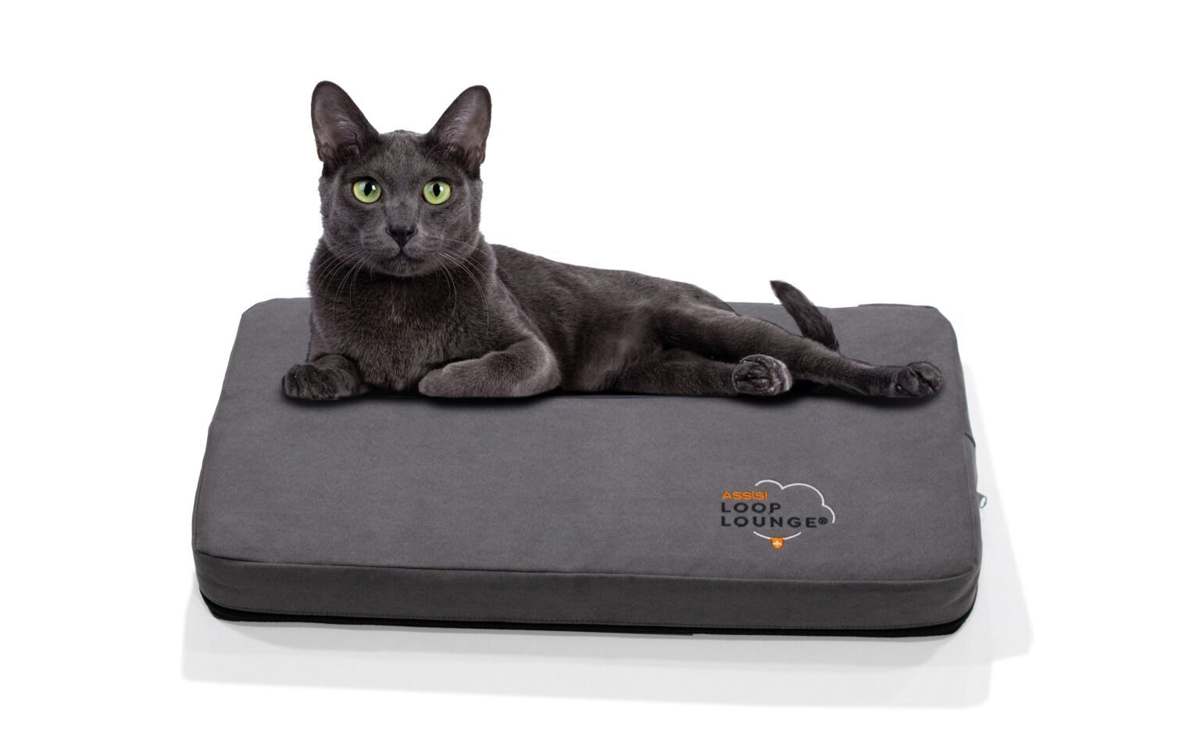 Assisi Loop Lounge integrated bed