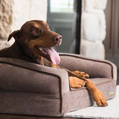 Brown bolster bed
