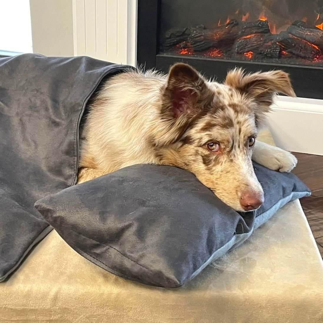 Bed and pillow set