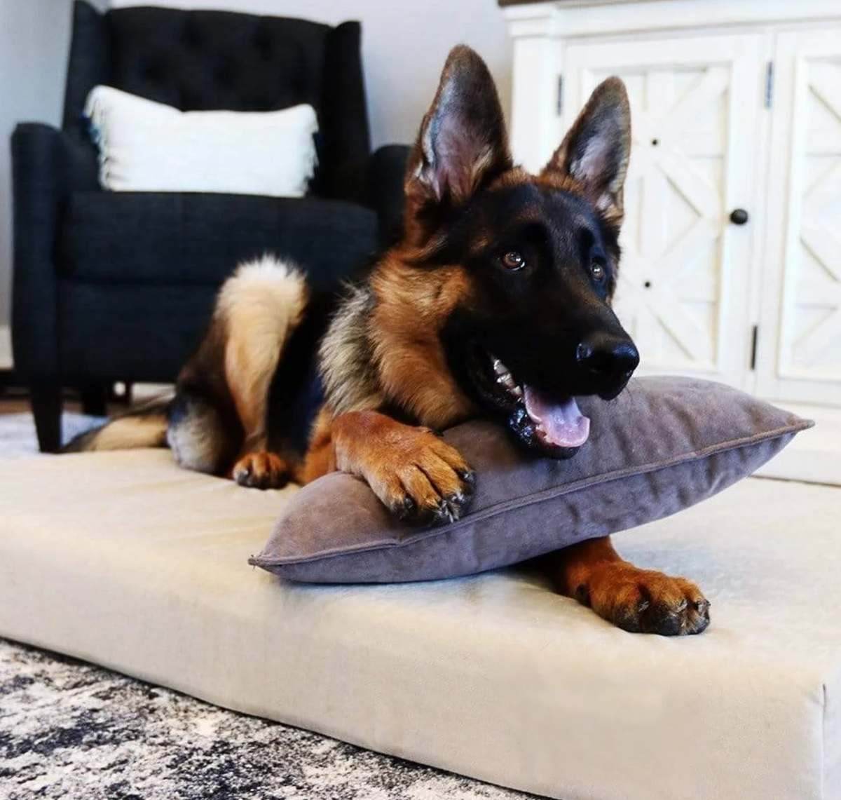 Orthopedic bed and pillow
