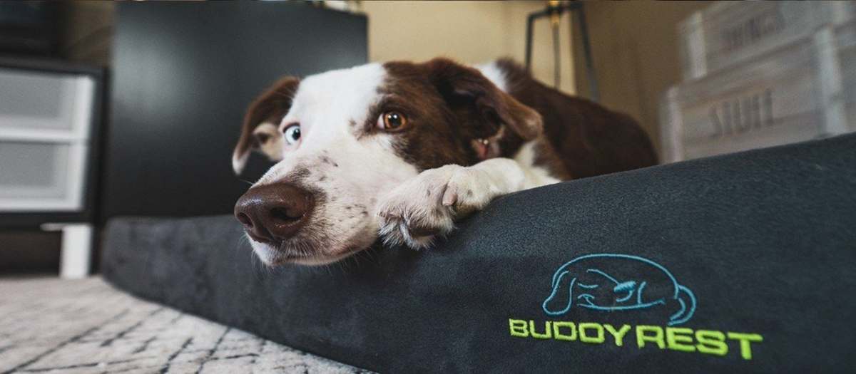 BuddyRest orthopedic bed
