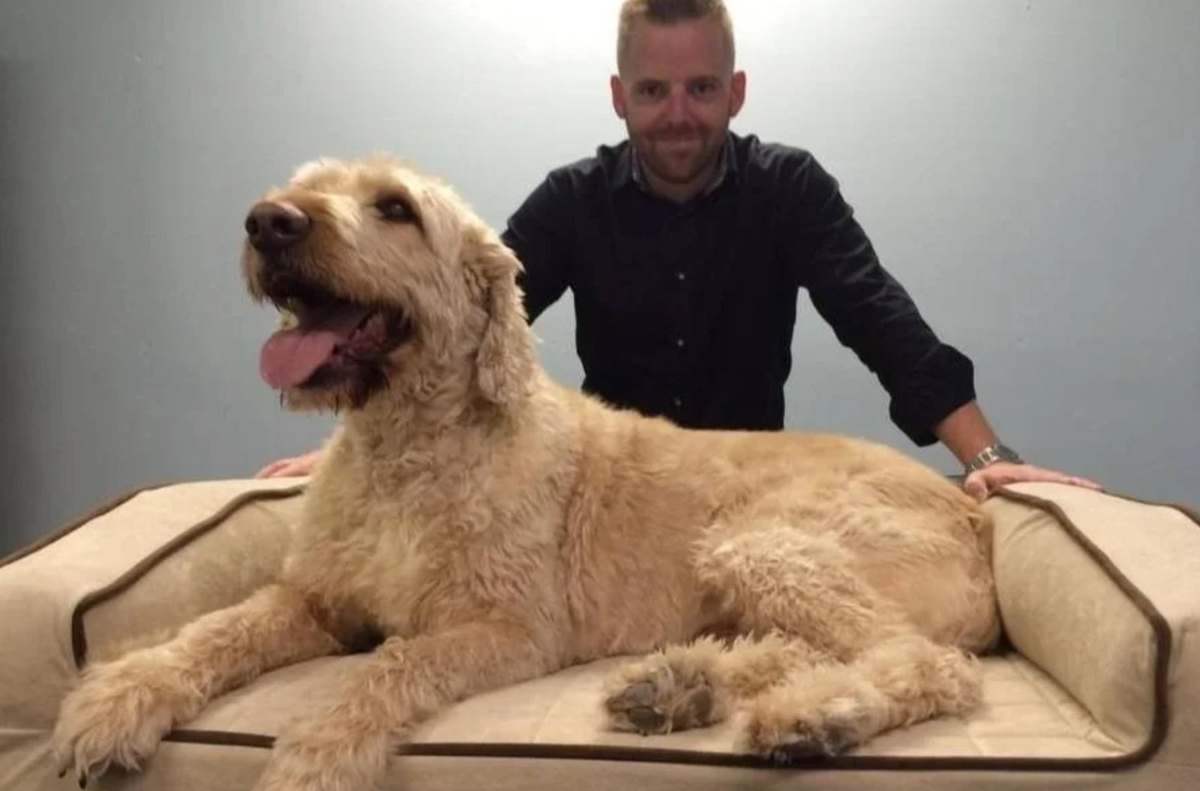 BuddyRest · Bolster bed