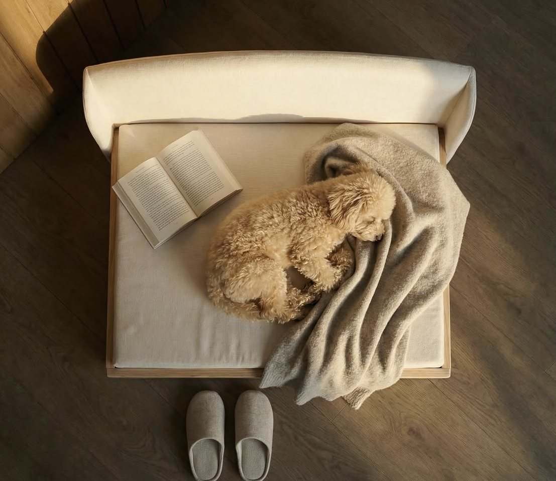 Take-home pet amenity staged in a guest room