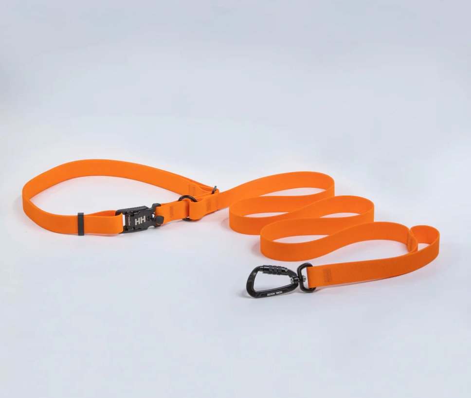 Howl House · Collar and leash