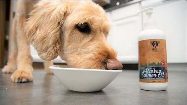 Natural Doggie · Salmon oil
