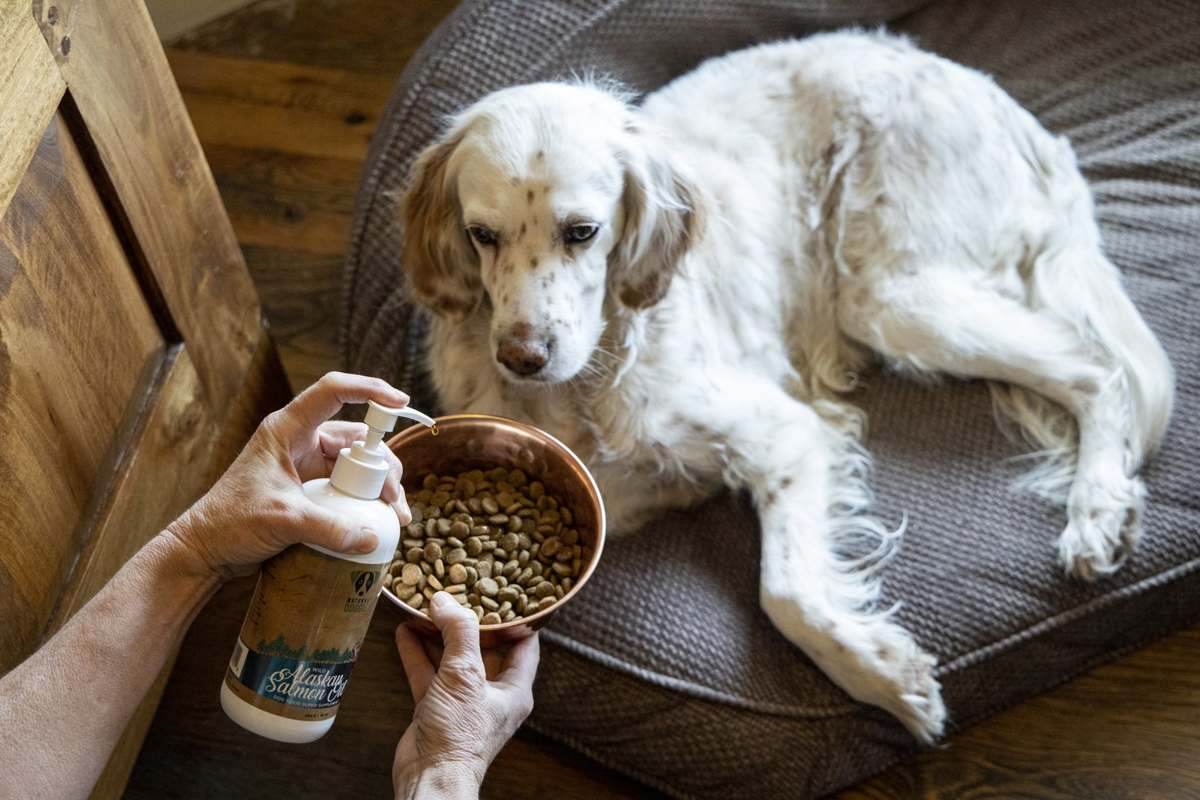 Natural Doggie salmon oil
