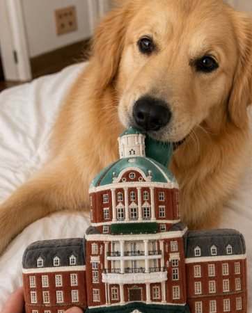 Guest dog holding a custom plush toy of the hotel